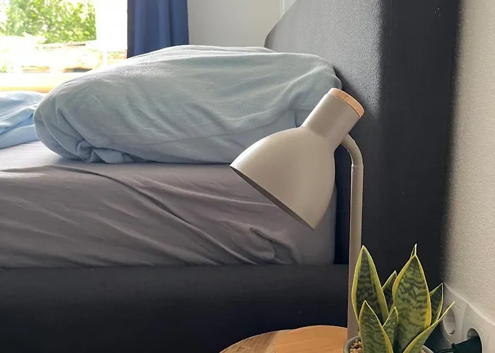 Rosa,s Garten 公寓 Schlieben